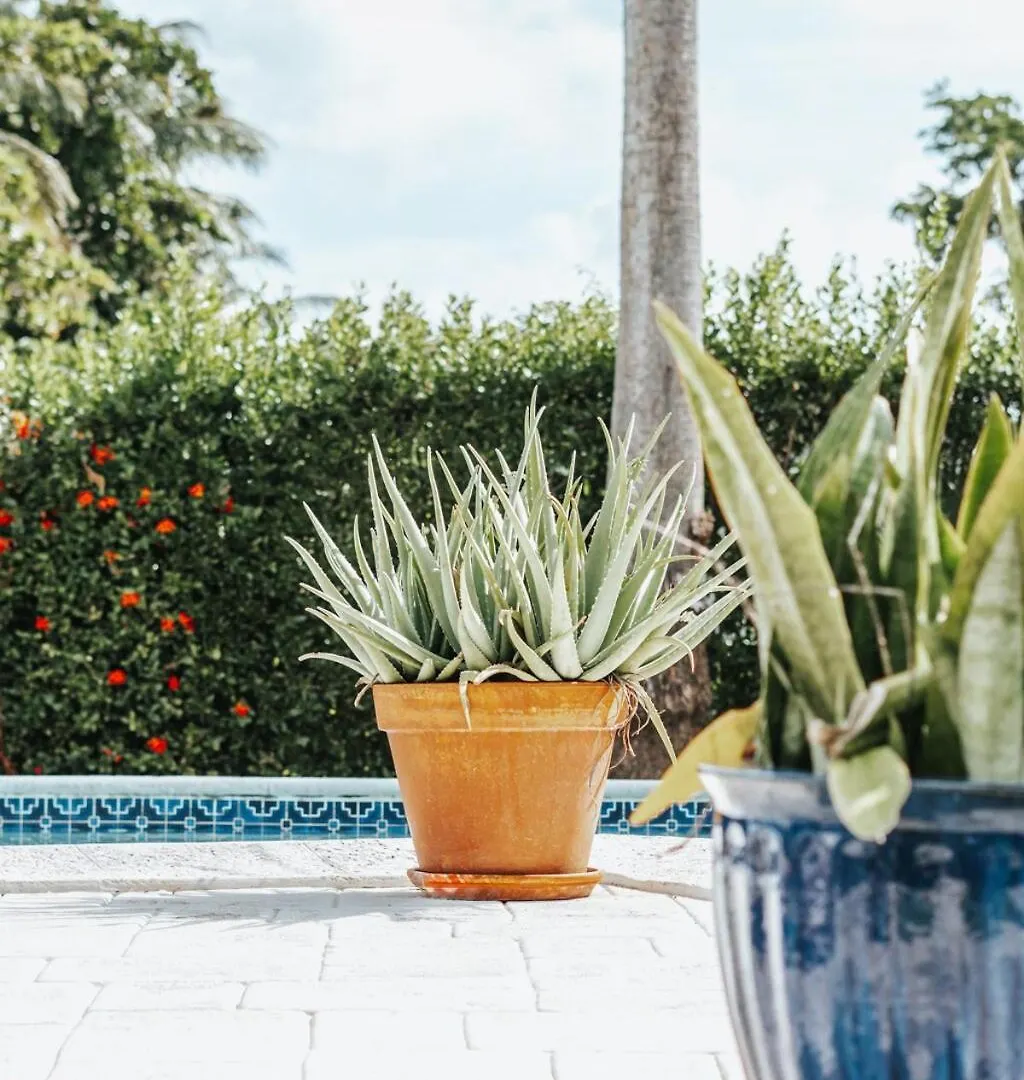 Private Pool 3 Bedrooms Oasis Sandalwood Escape George Town