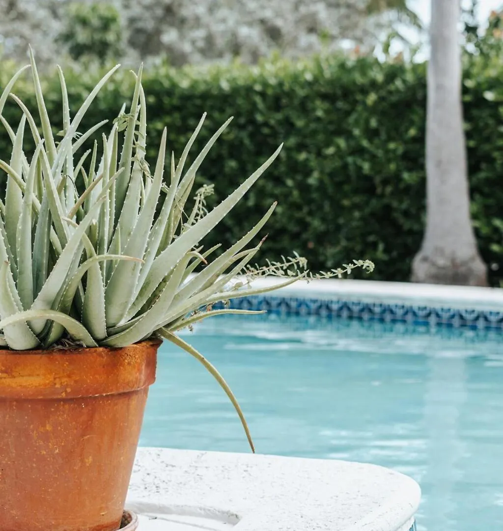 Private Pool 3 Bedrooms Oasis Sandalwood Escape George Town Villa
